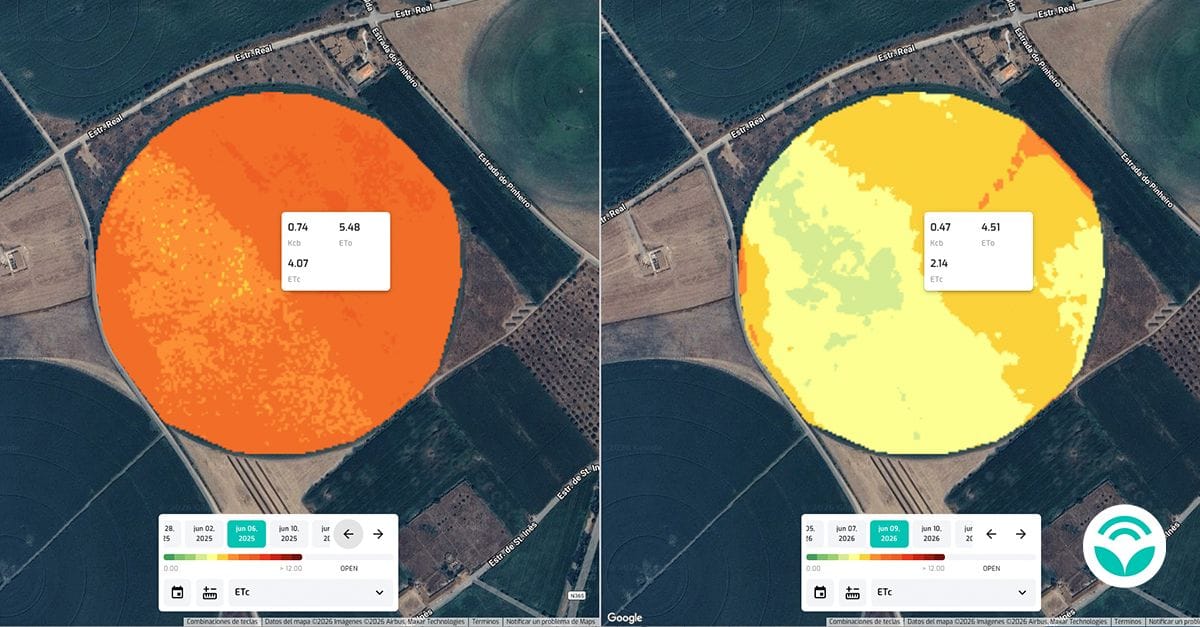 Datos satelitales aplicados a la monitorización agrícola