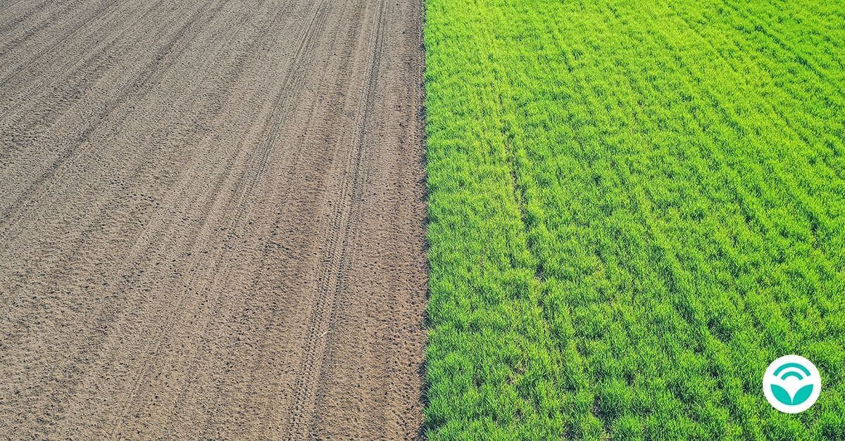 Suelo agrícola como base de una producción resiliente