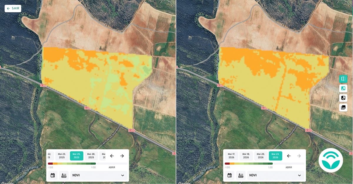 Prácticas agrícolas sostenibles aplicadas en el campo