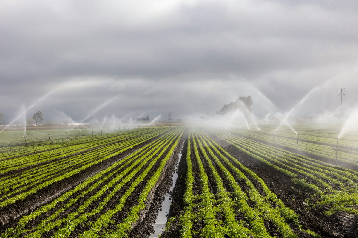 Gestión eficiente del agua en la agricultura